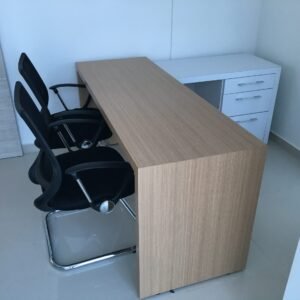 Escritorio gerencial