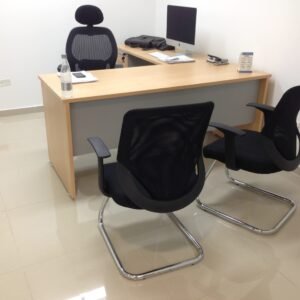 Escritorio gerencial