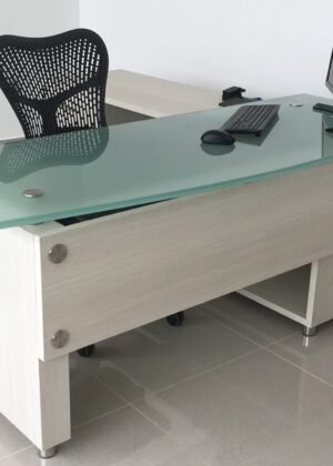 Escritorio gerencial (4)