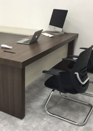 Escritorio gerencial (5)