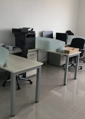 Puestos de trabajo(1)