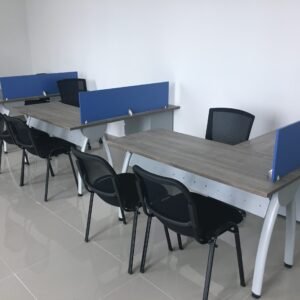 Puestos de trabajo (2)