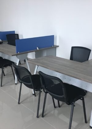 Puestos de trabajo (2)
