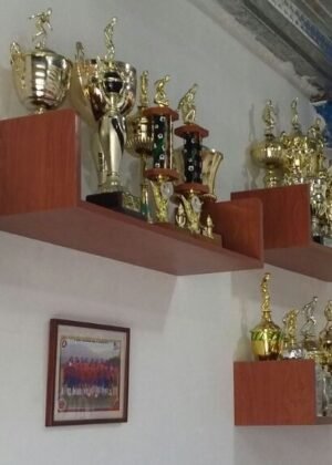 Repisas en formica