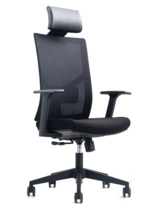 banu silla